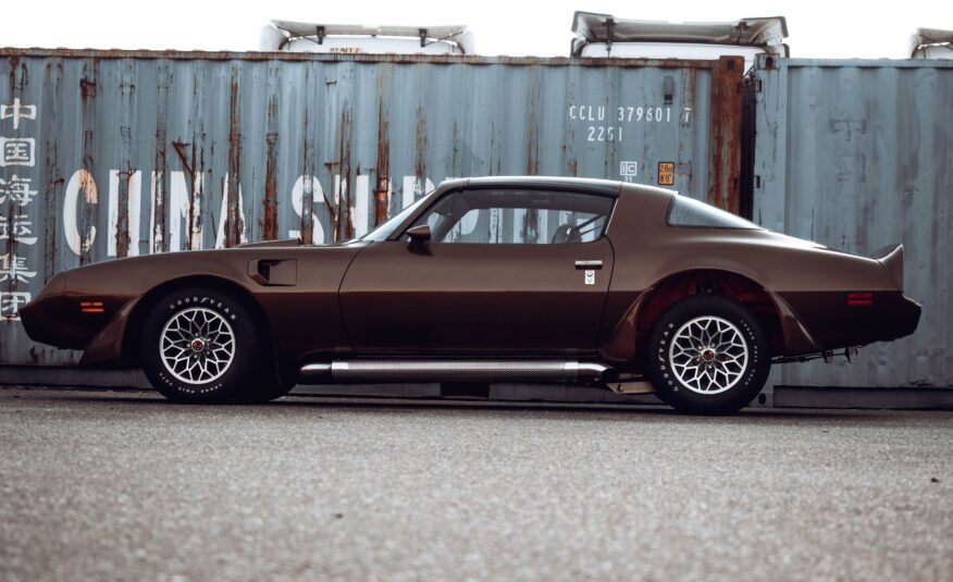 Pontiac Firebird Trans Am TARGA 1980 V8 6.6