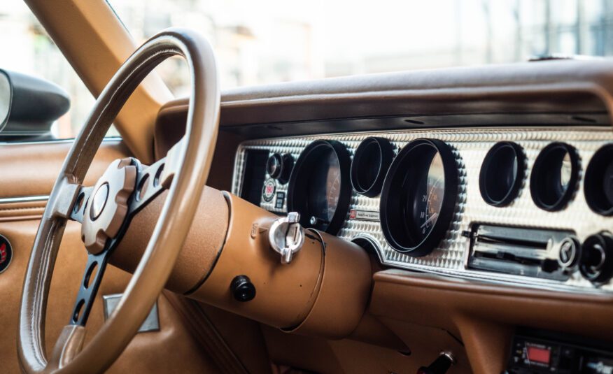 Pontiac Firebird Trans Am TARGA 1980 V8 6.6