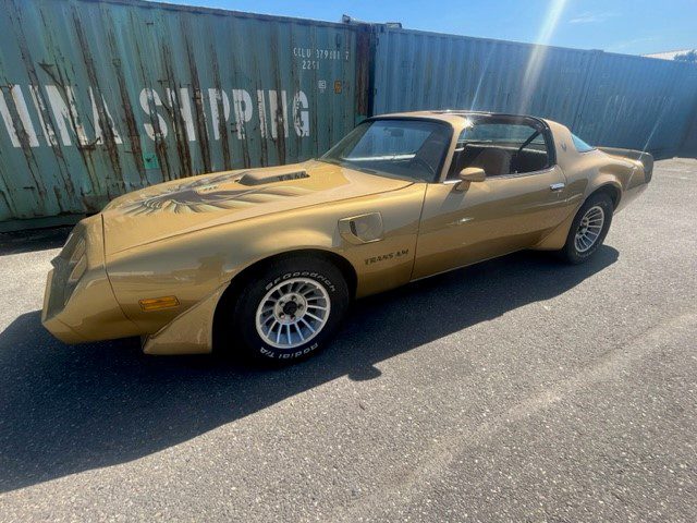 Pontiac Firebird Trans Am Targa 1982