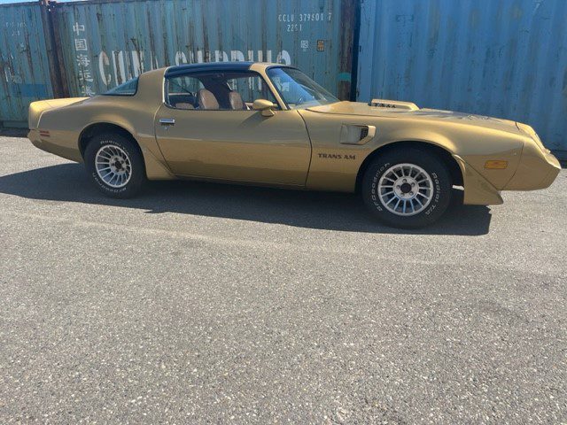 Pontiac Firebird Trans Am Targa 1982