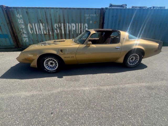 Pontiac Firebird Trans Am Targa 1982