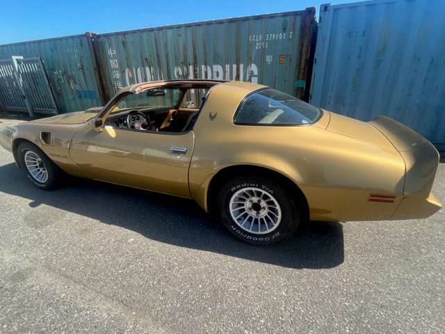 Pontiac Firebird Trans Am Targa 1982