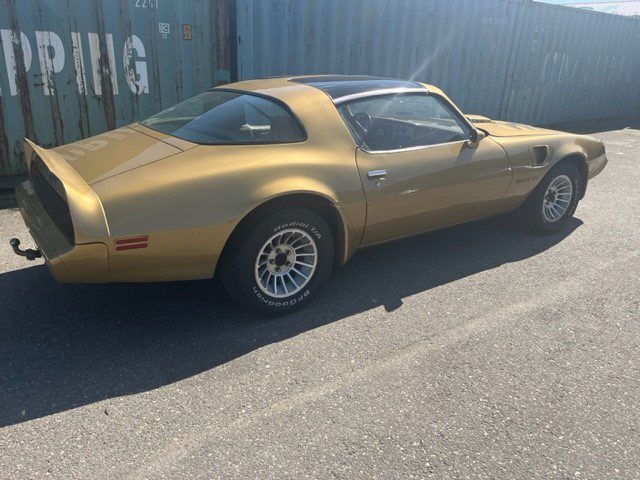 Pontiac Firebird Trans Am Targa 1982