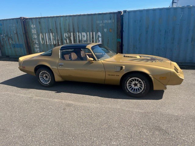 Pontiac Firebird Trans Am Targa 1982